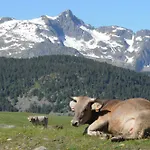 El Refugio De Aran 비에라