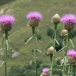 아파트호텔 El Refugio De Aran 비에라